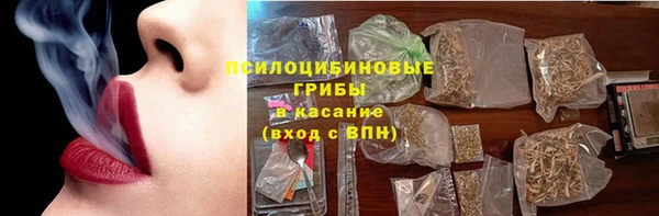 гашик Белоозёрский