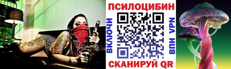 где купить   Исилькуль  Галлюциногенные грибы Cubensis 